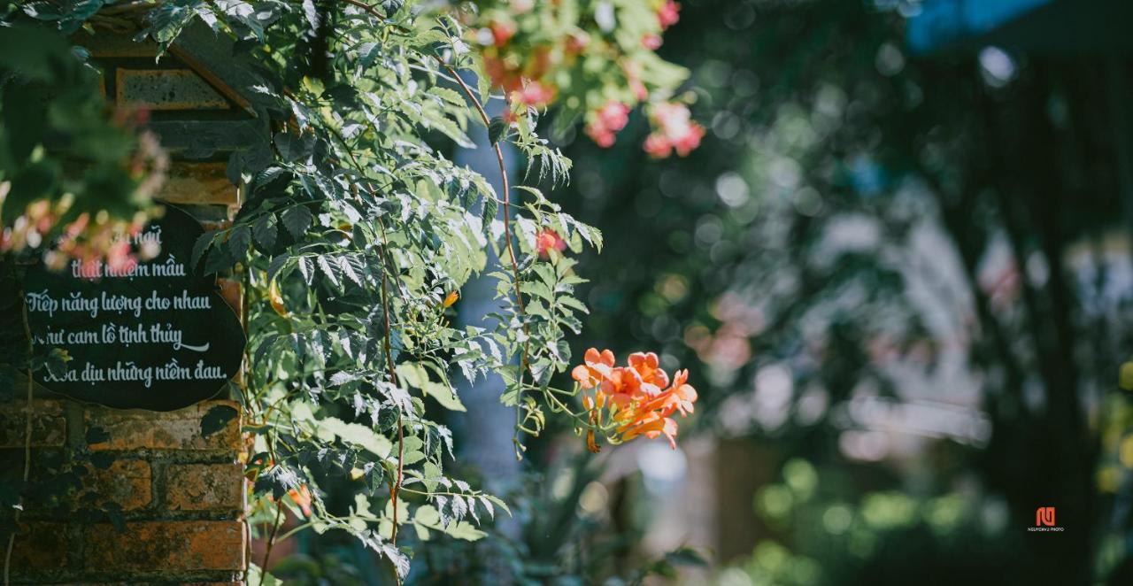 Tam Tinh Vien Homestay Хуе Екстериор снимка