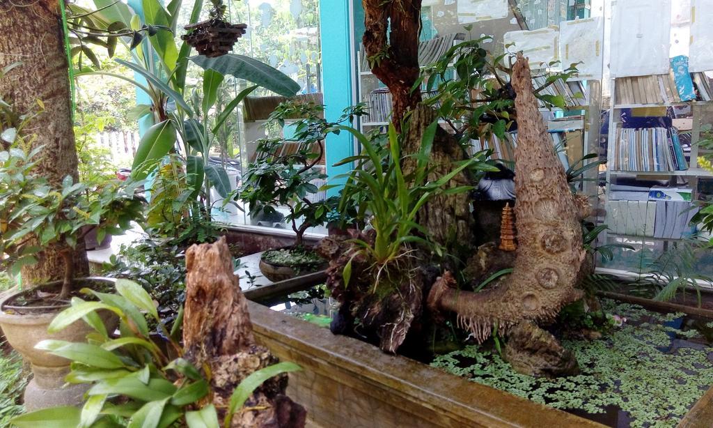 Tam Tinh Vien Homestay Хуе Екстериор снимка