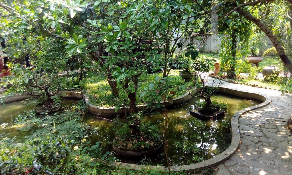 Tam Tinh Vien Homestay Хуе Екстериор снимка