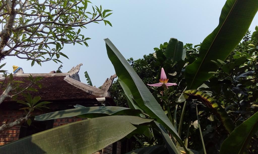 Tam Tinh Vien Homestay Хуе Екстериор снимка