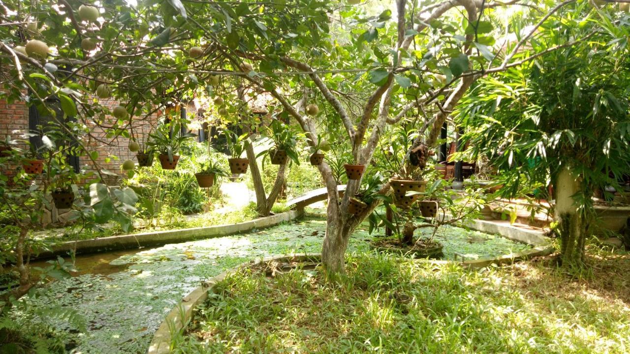 Tam Tinh Vien Homestay Хуе Екстериор снимка