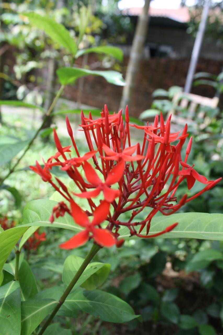 Tam Tinh Vien Homestay Хуе Екстериор снимка